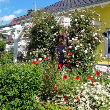 Außenansicht im Sommer