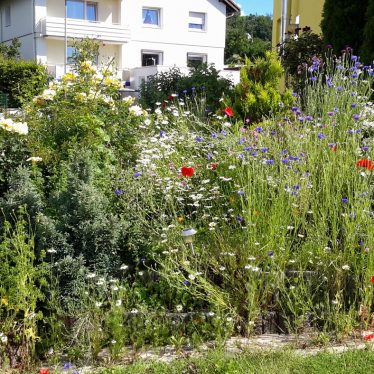 Außenansicht im Sommer